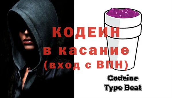 индика Киренск