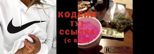 индика Киренск