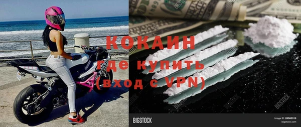 индика Киренск