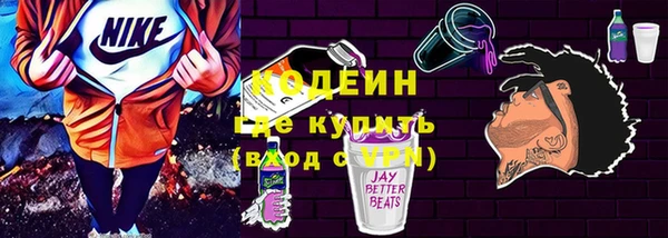 индика Киренск