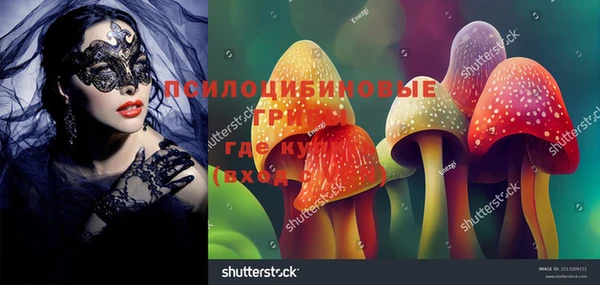 гашик Кинешма