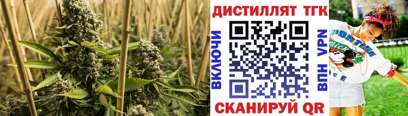 Купить закладки  Кингисепп  Дистиллят ТГК жижа 