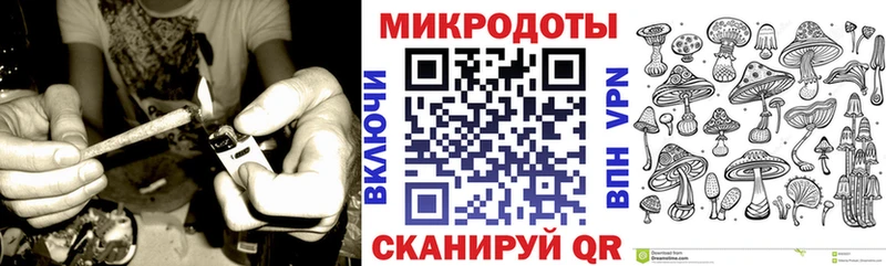 Купить где  Кингисепп  Галлюциногенные грибы Psilocybe 